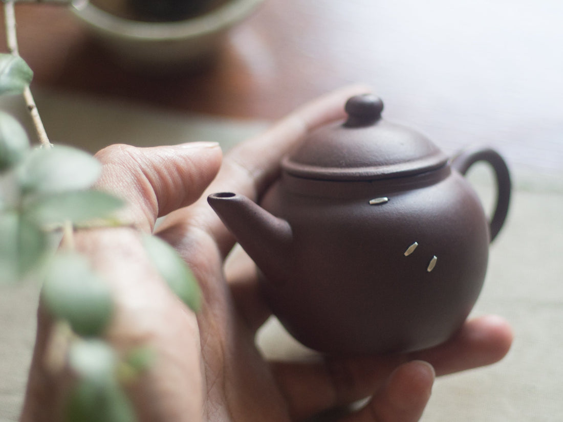 Modern Mender:  Nissan Haque - Miniature Rhino