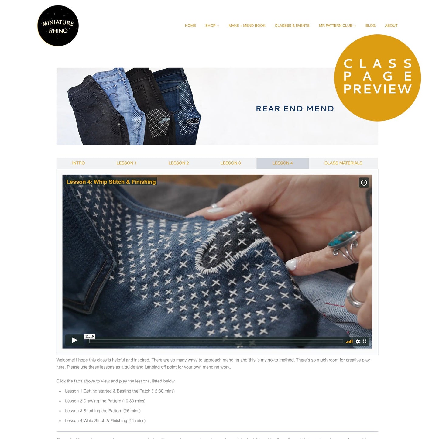 Rear End Mend Online Class - Miniature Rhino